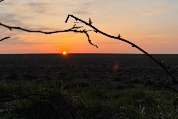 Baufinanzierung Dresden by BauFinanzHelden
